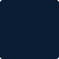 217 Navy Blue 217 Navy Blue