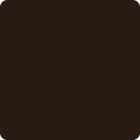 231 Leisure Brown 231 Leisure Brown