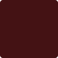 231 Leisure Brown 231 Leisure Brown