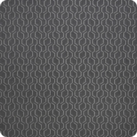 Adaptation-Stone Adaptation-Stone