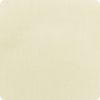 Canvas-Birds-Eye Canvas-Birds-Eye