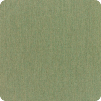 Canvas Fern Canvas Fern