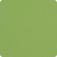 Canvas-Ginkgo Canvas-Ginkgo