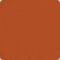 Canvas-Rust Canvas-Rust