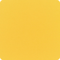 Canvas-Sunflower Canvas-Sunflower