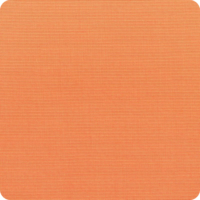 Canvas-Tangerine Canvas-Tangerine