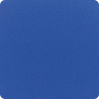 Canvas True Blue Canvas True Blue