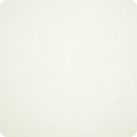 Canvas-White Canvas-White