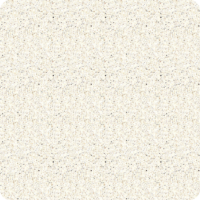 Texture - Luna Texture - Luna