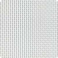 White White