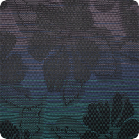 127 BLACK WILD ORCHID 127 BLACK WILD ORCHID