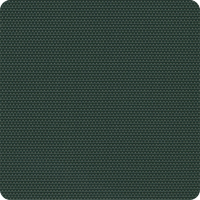 B-12 FORREST GREEN PLUS B-12 FORREST GREEN PLUS