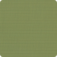 FS-010 DUPIONI KIWI FS-010 DUPIONI KIWI